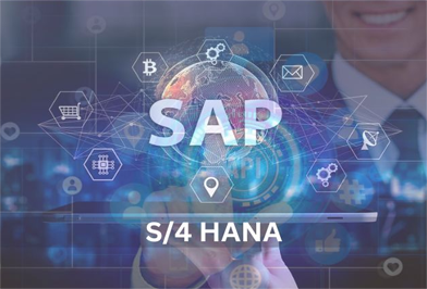 S/4 HANA AMS Service